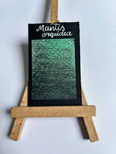 Cargar imagen en el visor de la galería, Mantis orquídea