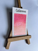 Cargar imagen en el visor de la galería, Catarina