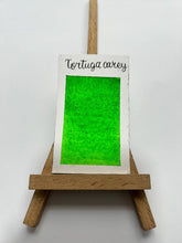 Cargar imagen en el visor de la galería, Tortuga Carey