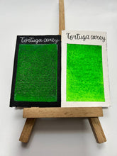 Cargar imagen en el visor de la galería, Tortuga Carey