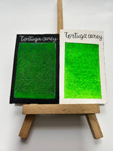Cargar imagen en el visor de la galería, Tortuga Carey