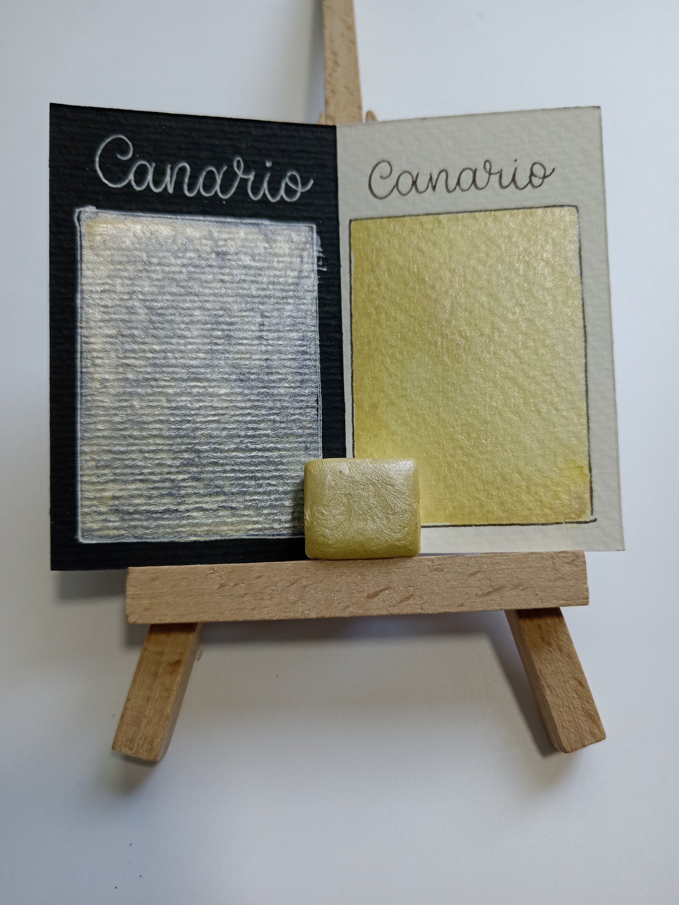 Canario