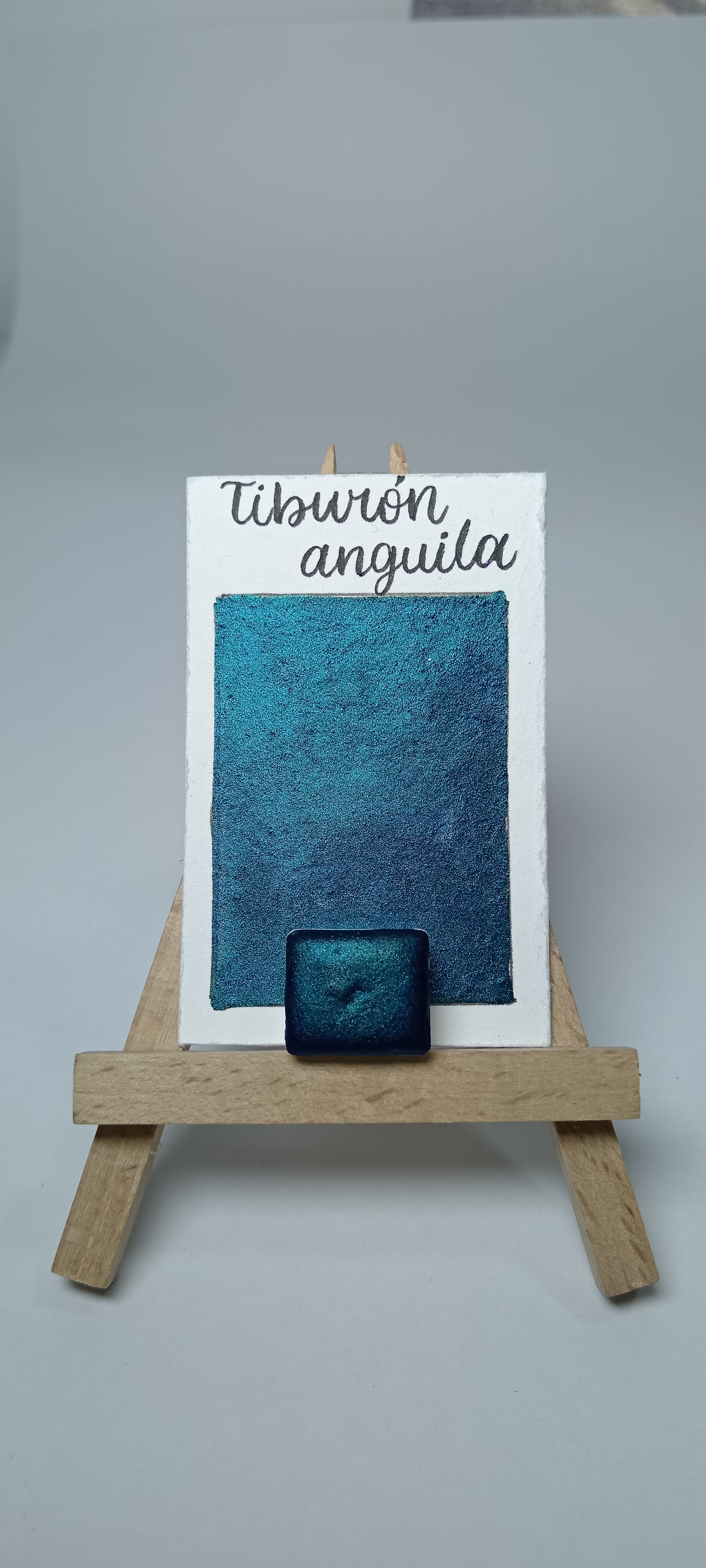 Tiburon Anguila