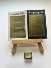 Cargar imagen en el visor de la galería, Anoplogaster
