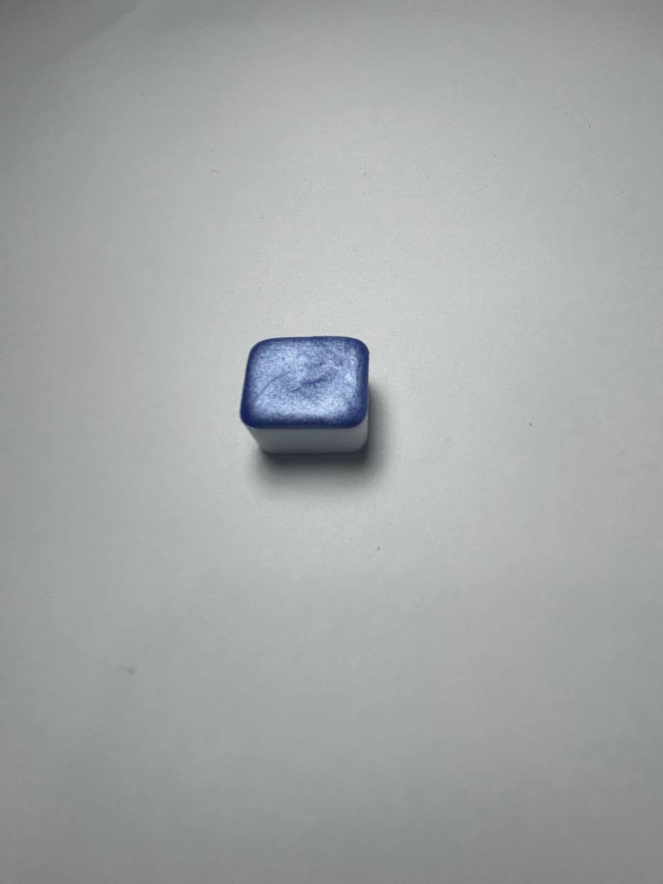 Azulilla celeste