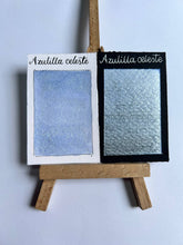 Cargar imagen en el visor de la galería, Azulilla celeste
