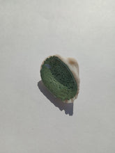Cargar imagen en el visor de la galería, Cactus Cat
