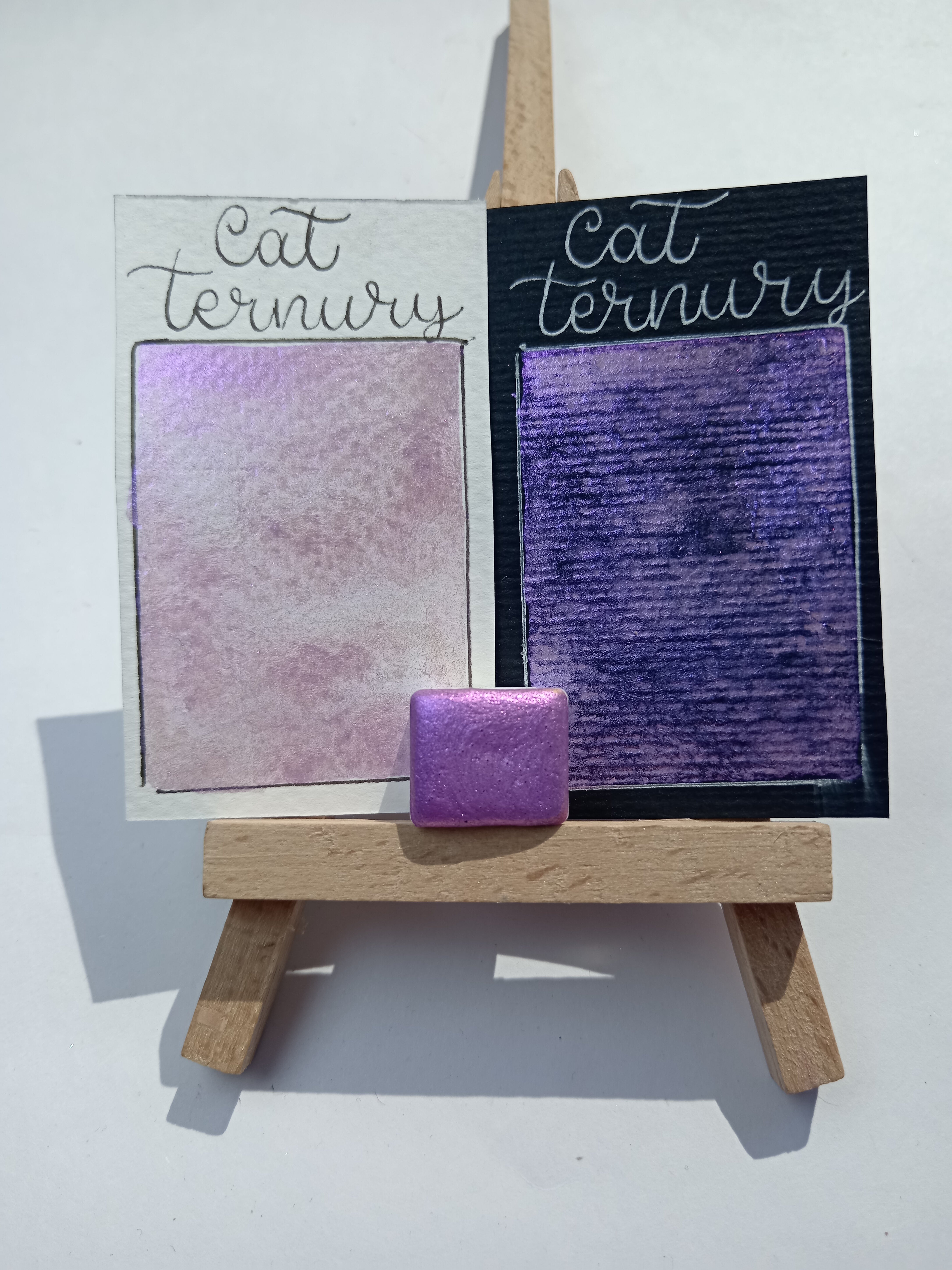 Cat Ternury