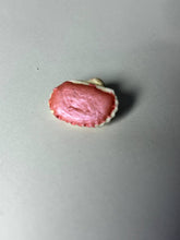 Cargar imagen en el visor de la galería, Clementina
