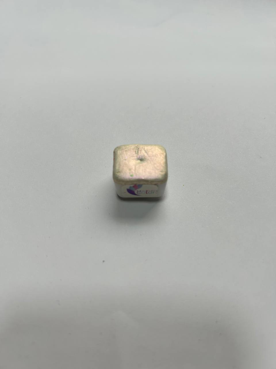 Conejo de mar
