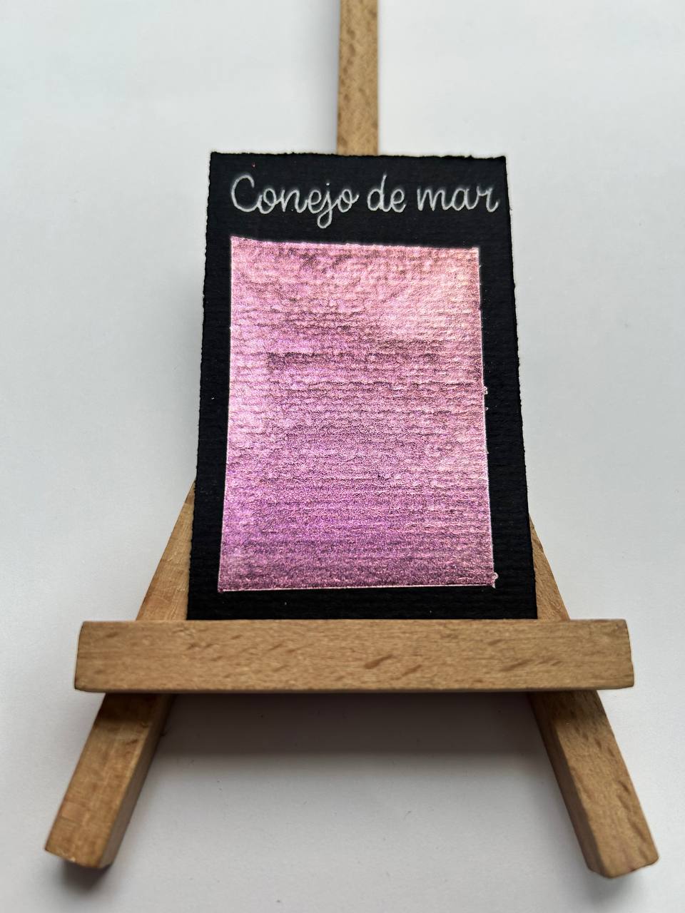 Conejo de mar