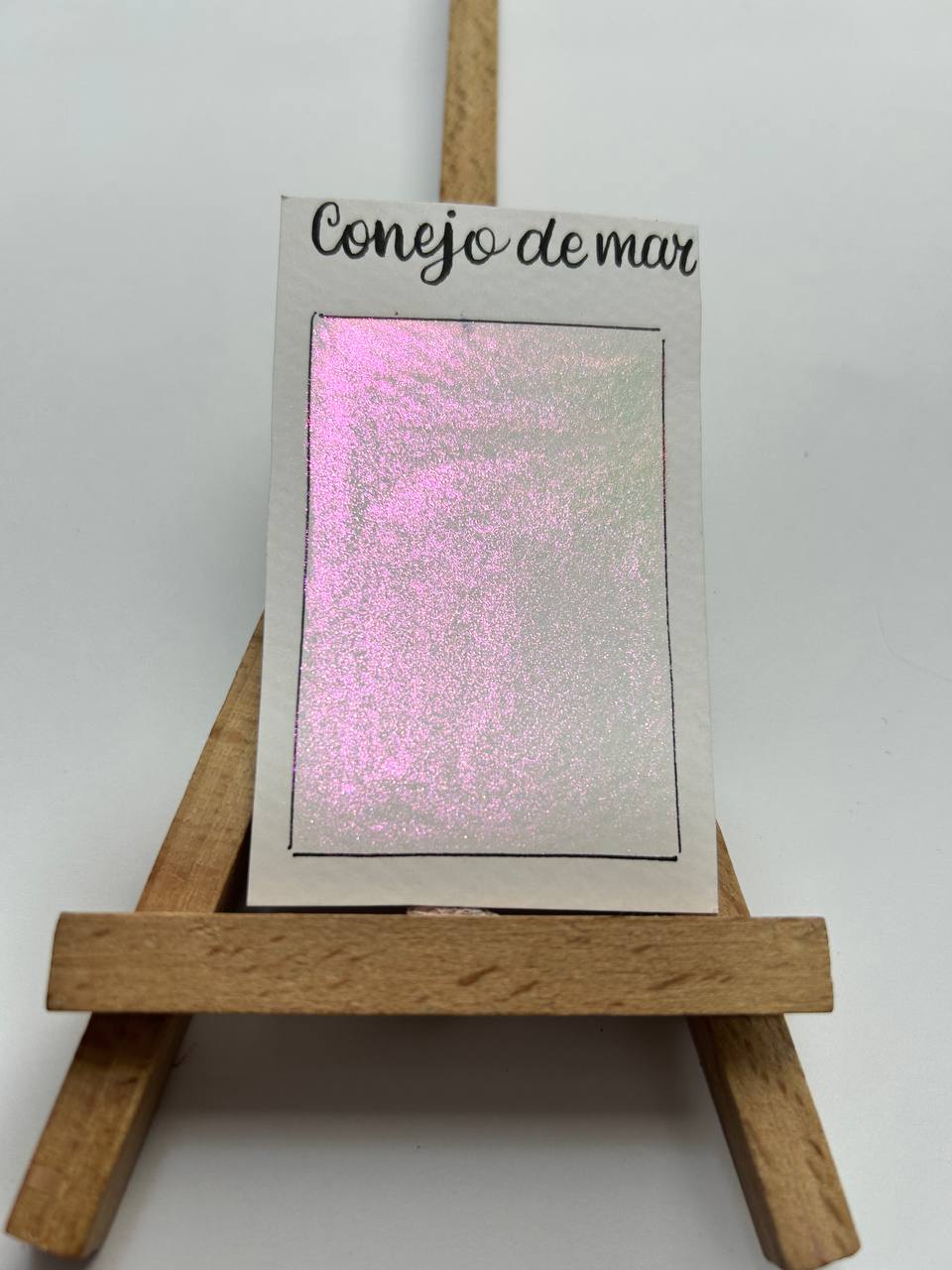 Conejo de mar