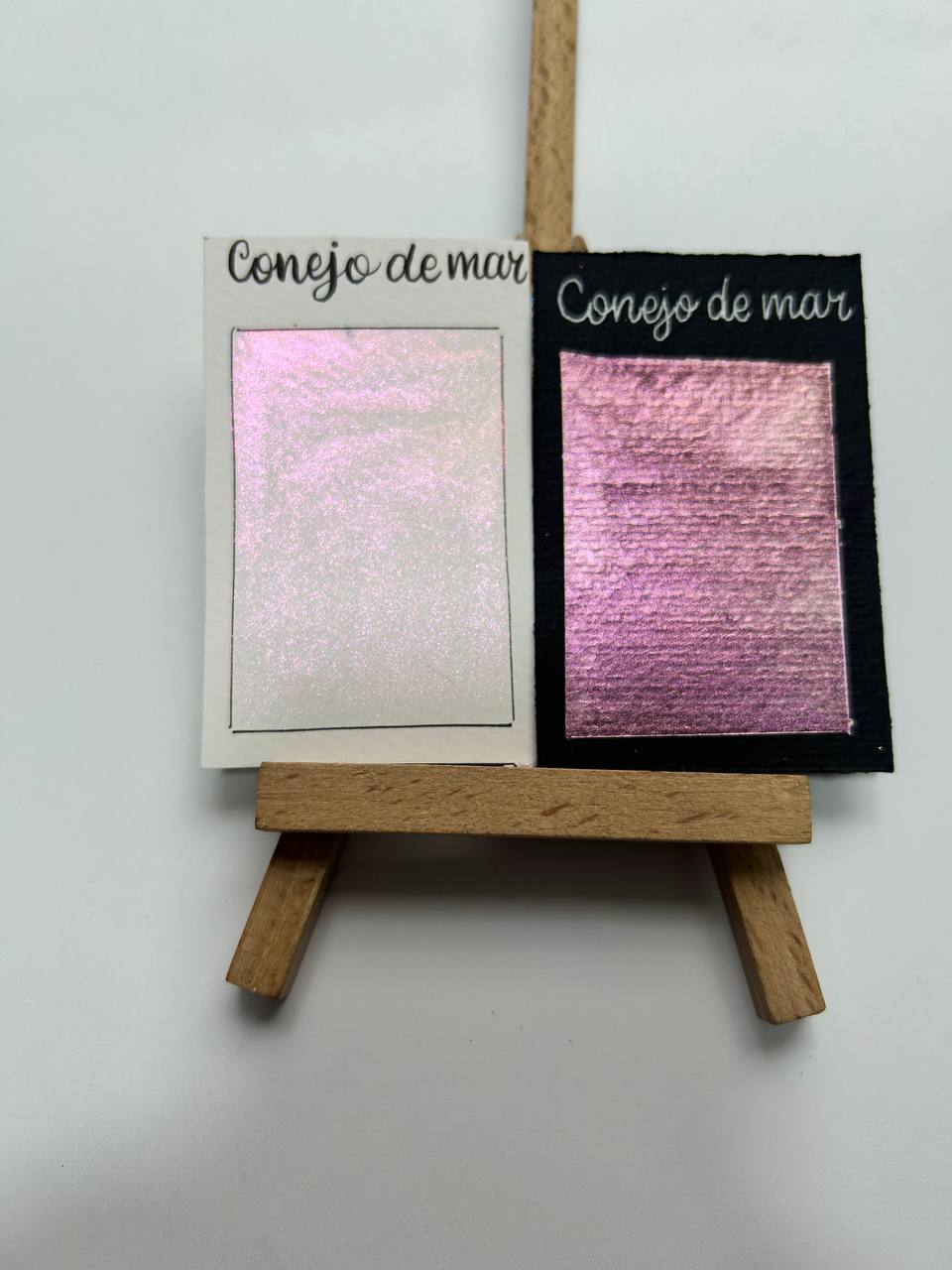 Conejo de mar