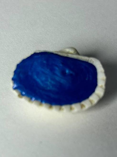 Lapis Lázuli