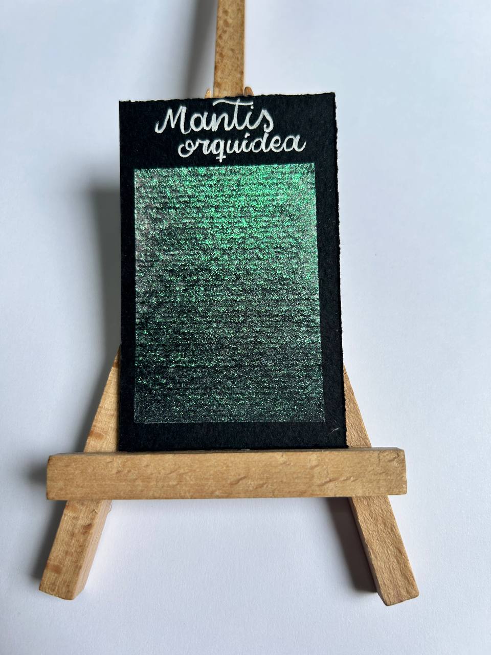 Mantis orquídea