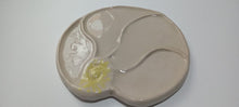Cargar imagen en el visor de la galería, Paleta Concha Marina 🐚
