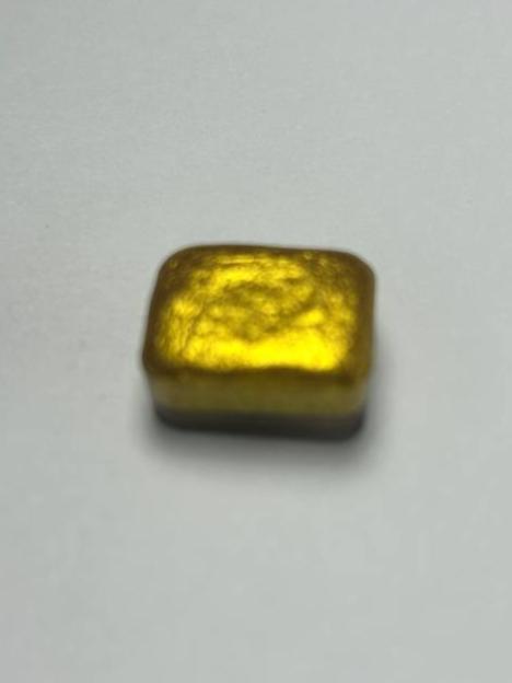 Pez Dragón