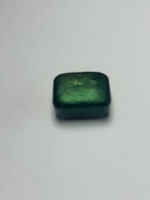Pez Vibora