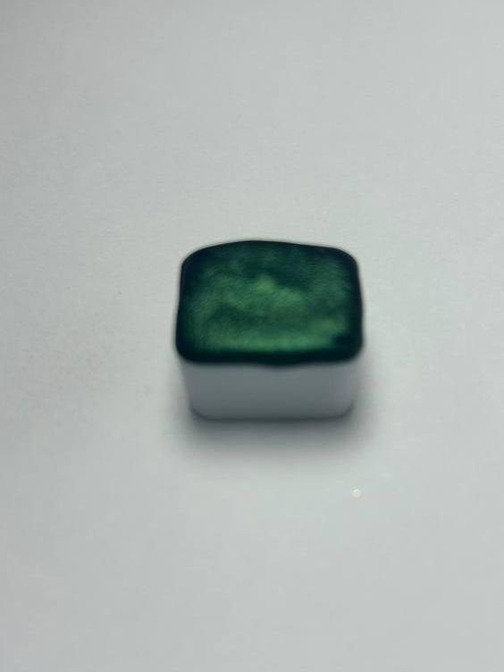 Pez Vibora