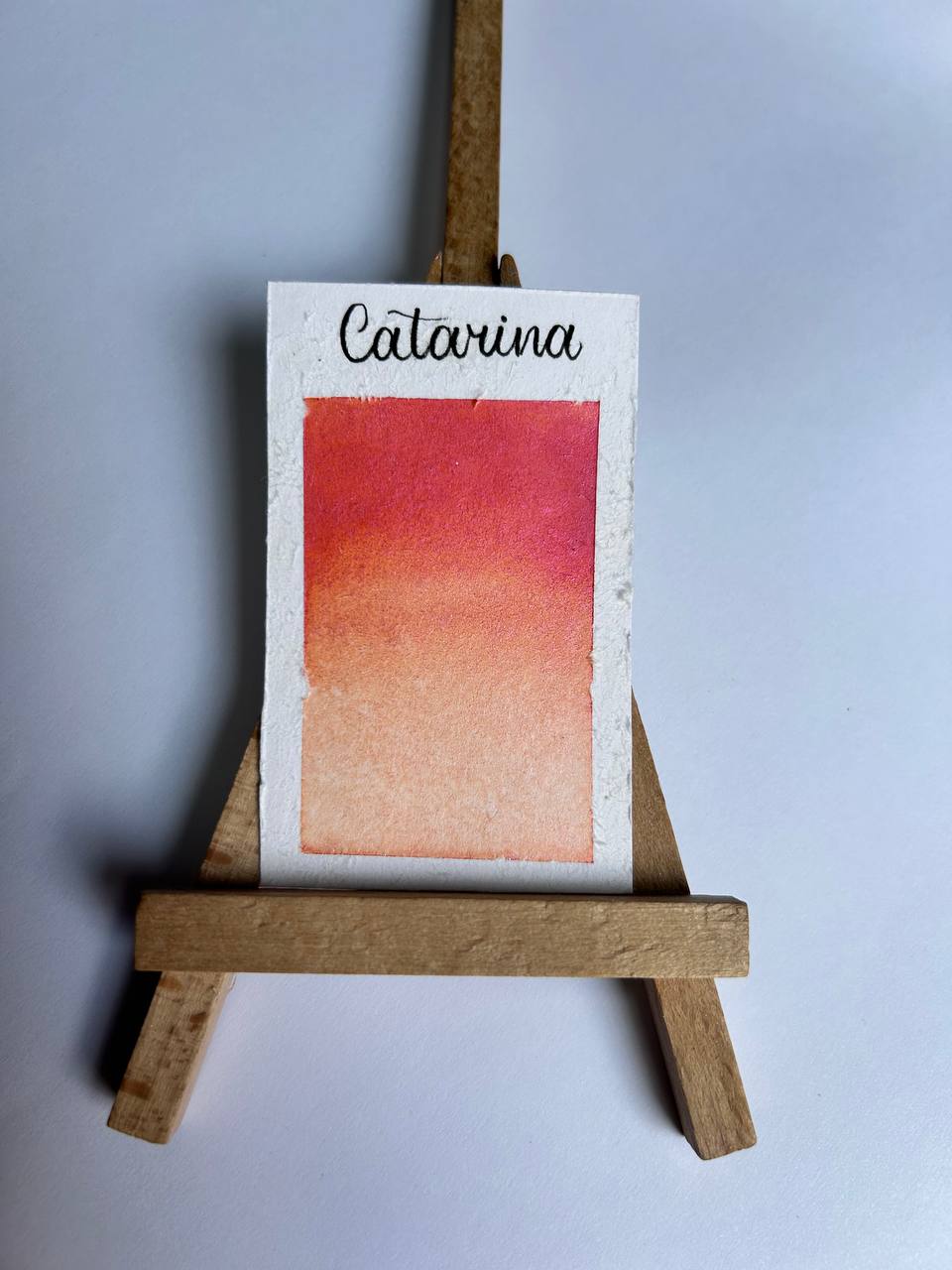 Catarina