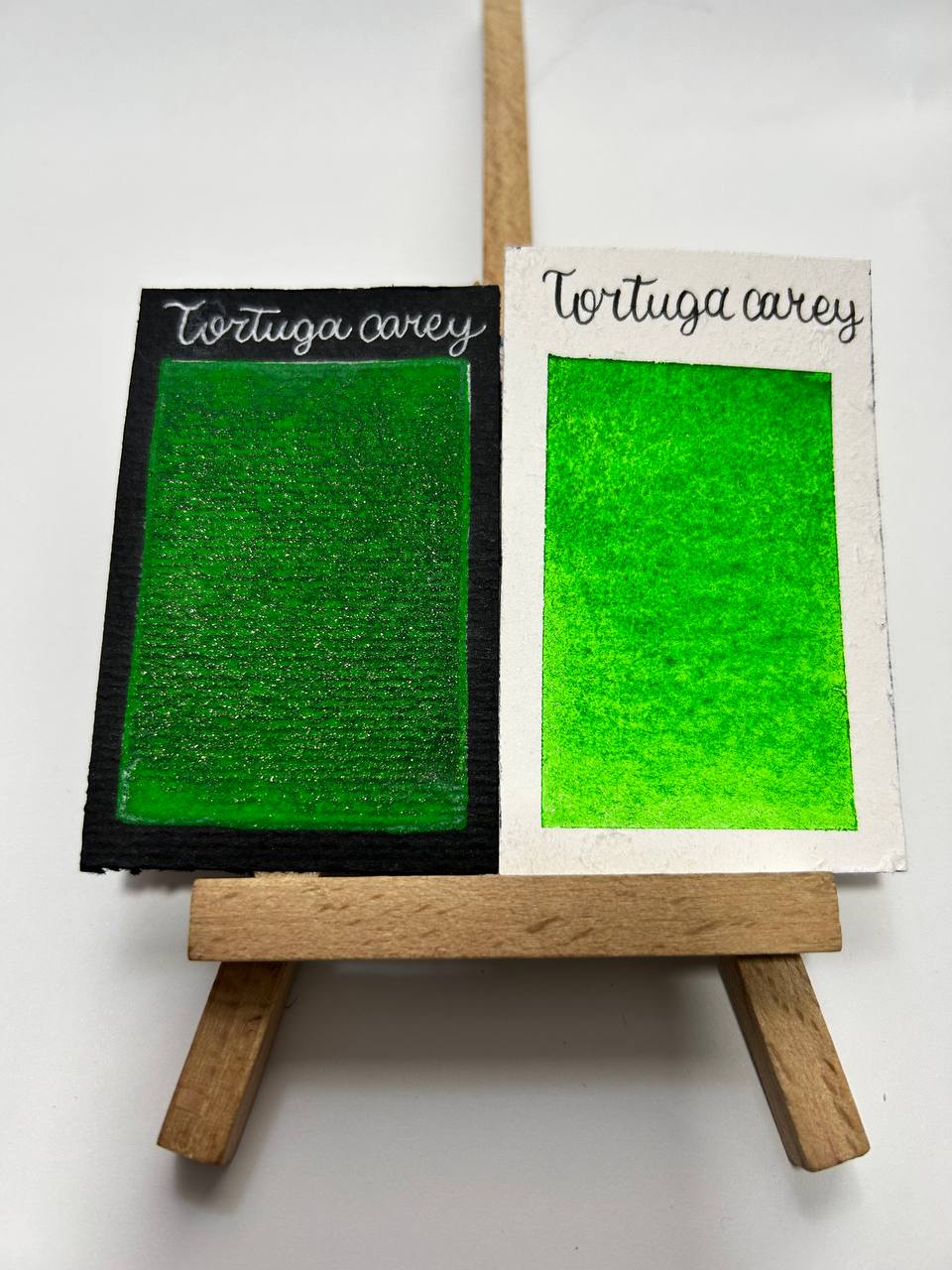 Tortuga Carey