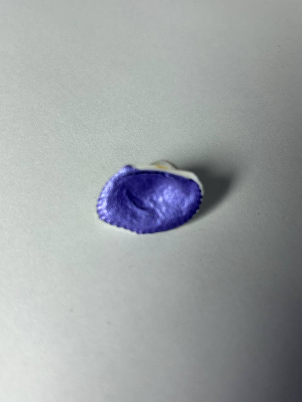Tulipan